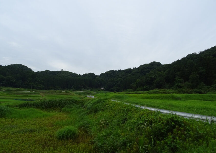 周りに何も無いところを走る小湊鐵道