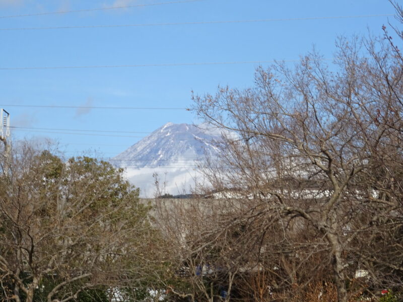 岳南江尾駅の近くを通る東海道新幹線