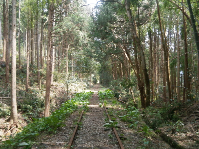 泰久寺駅から続く倉吉線の線路跡