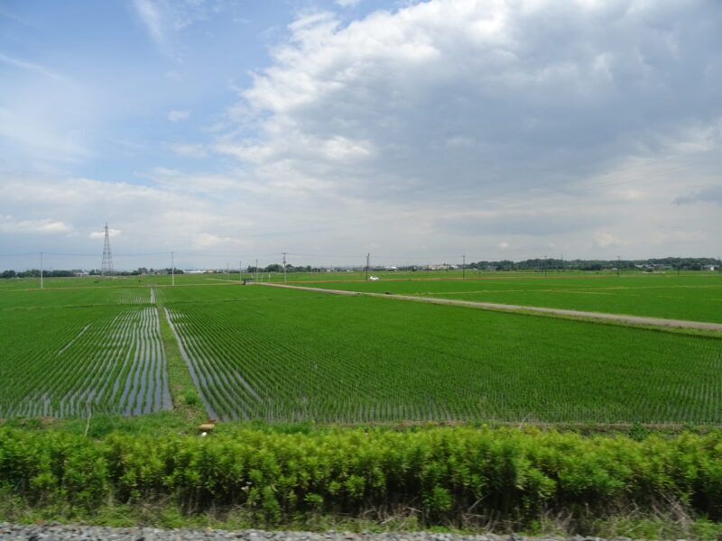 栃木県内を走行する東武鉄道の普通列車