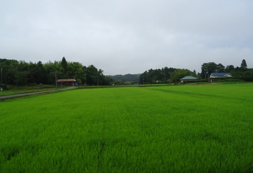 田園風景の中を走る小湊鐵道