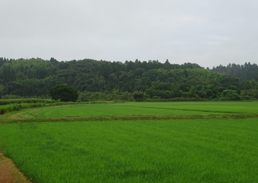 田園風景の中を走る小湊鐵道