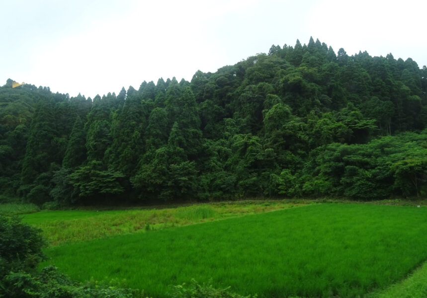 何もないが特徴のいすみ鉄道