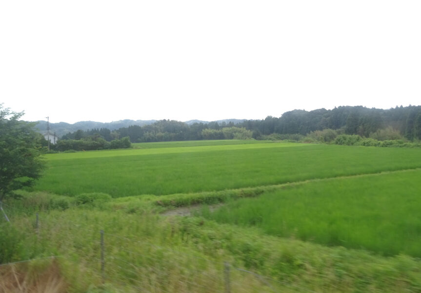 田園風景を走行するいすみ鉄道