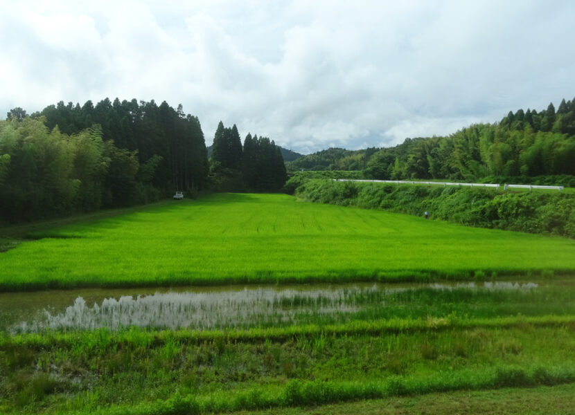 田園風景を走行するいすみ鉄道