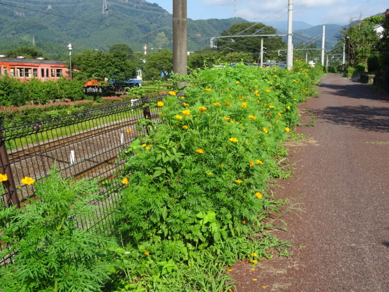 旧信越本線横の道路