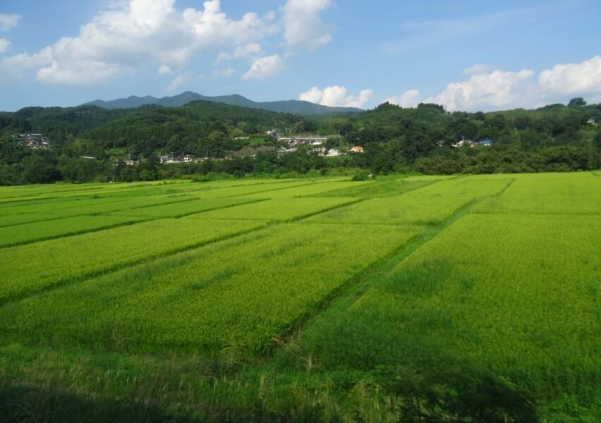 吾妻線から見える田園風景