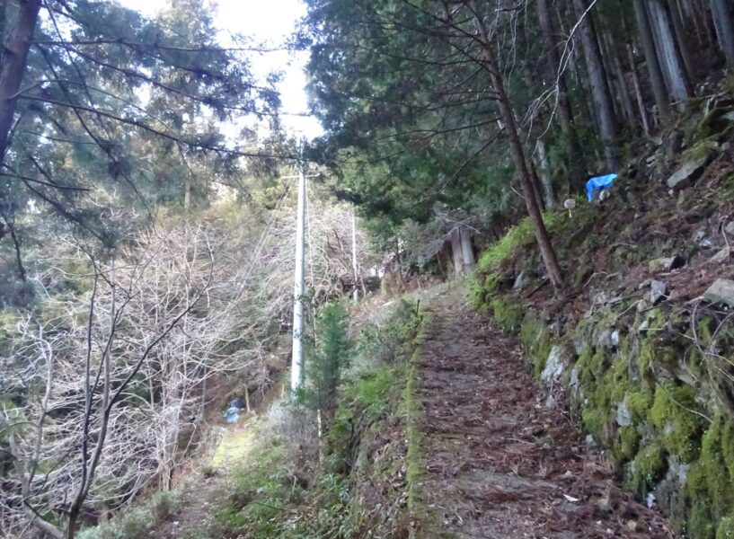 小和田駅から歩くと途中で分岐する道