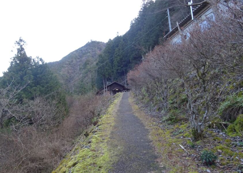 小和田駅へ続く道