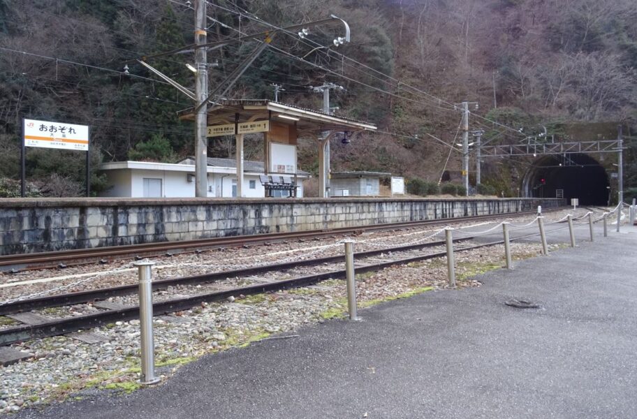 旧飯田線から現大嵐駅