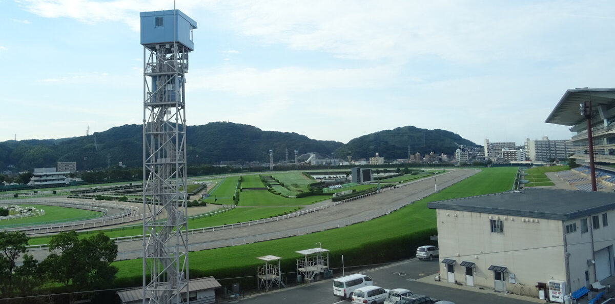 小倉競馬場のトラック