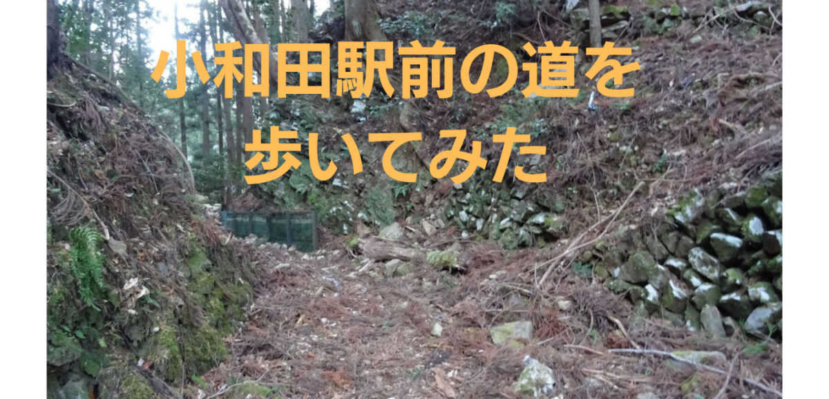 小和田駅前の道を歩いてみた