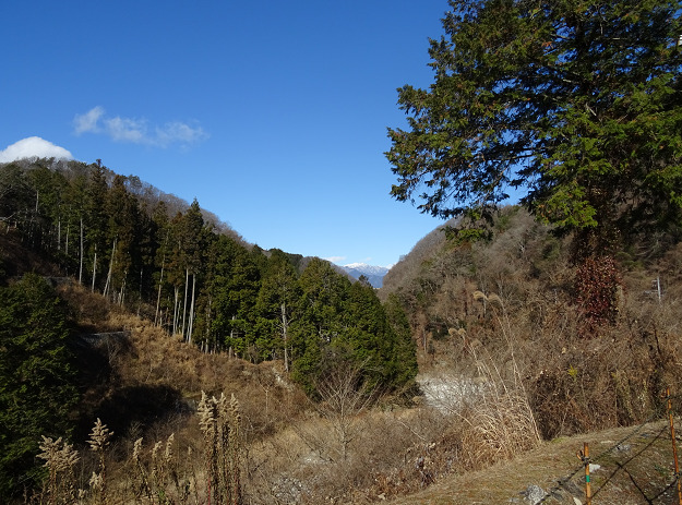 金野駅から見える米川