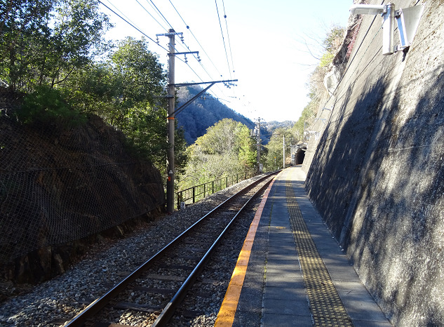 田本駅のホーム全体