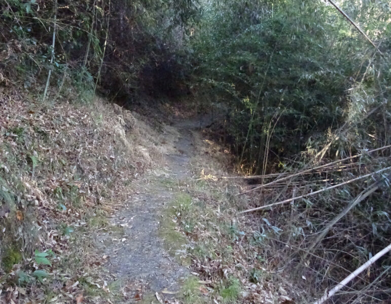 田本集落に続く獣道