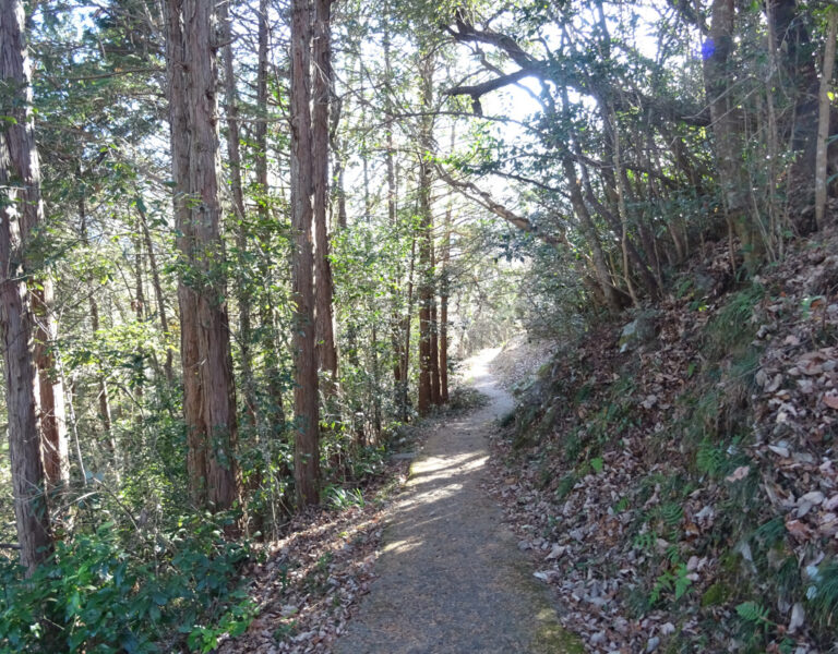 田本駅に続く獣道