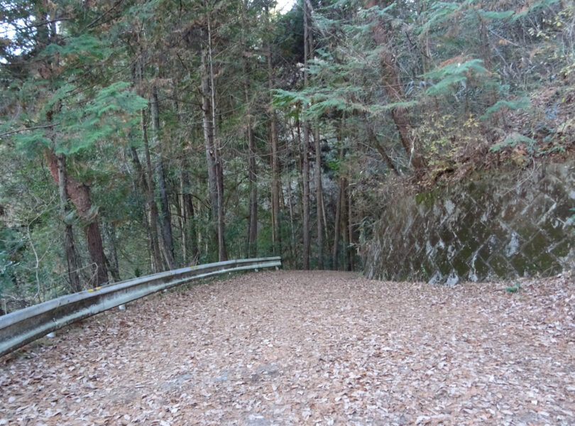 阿南町方面へ続く道