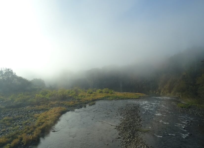 特急やくも３号から高梁川と霧が車窓で見える