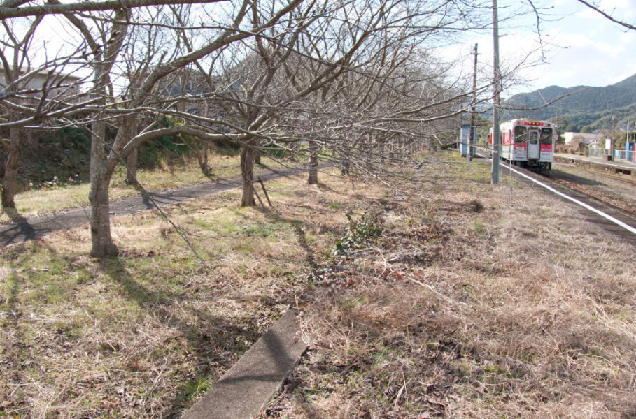 吉井駅の現ホーム横にある世知原線の跡