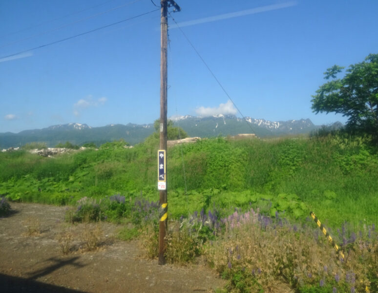 山部駅に停車中の普通列車