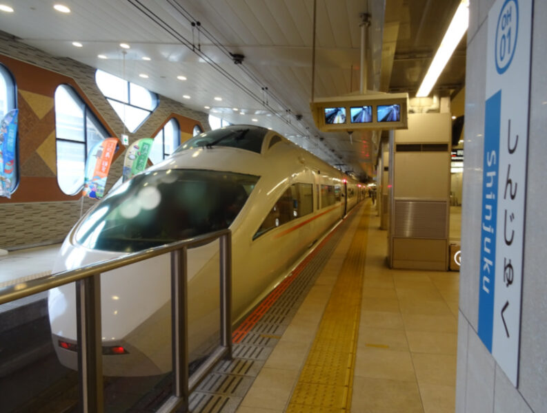 VSE・特急はこね１１号と新宿駅駅名標