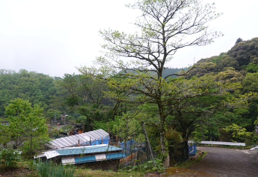 宗太郎駅前の景色