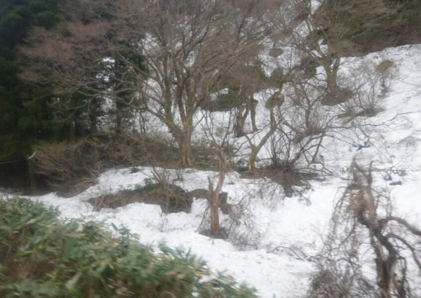 高屋駅の駅近くの山に雪