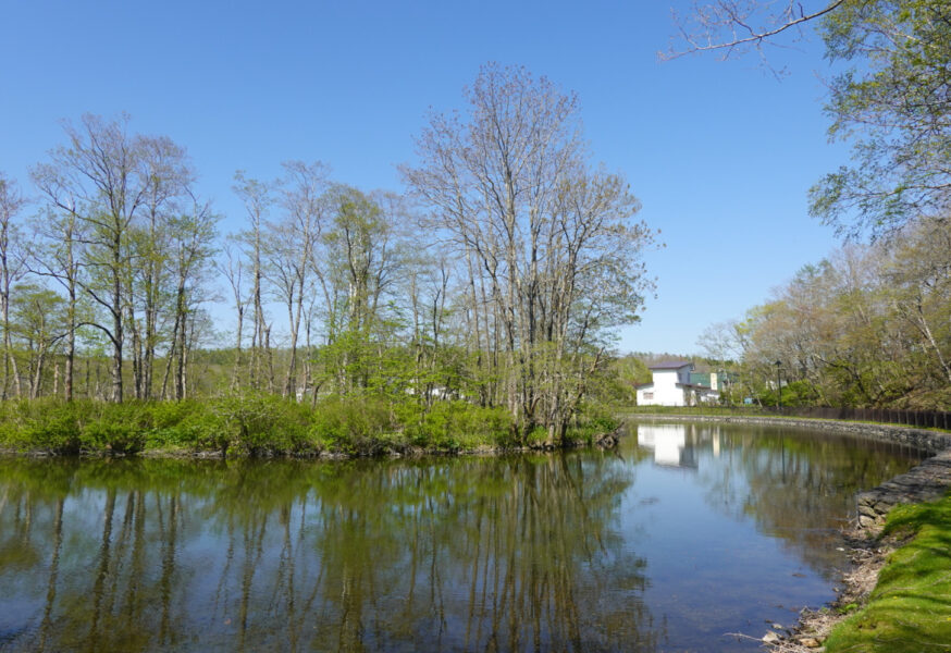 水郷公園を一周中