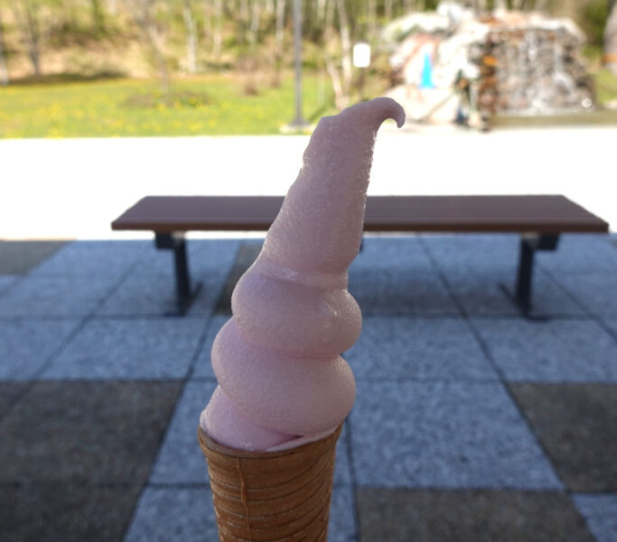 道の駅摩周温泉で販売さている摩周ルビーソフトクリーム（４５０円）