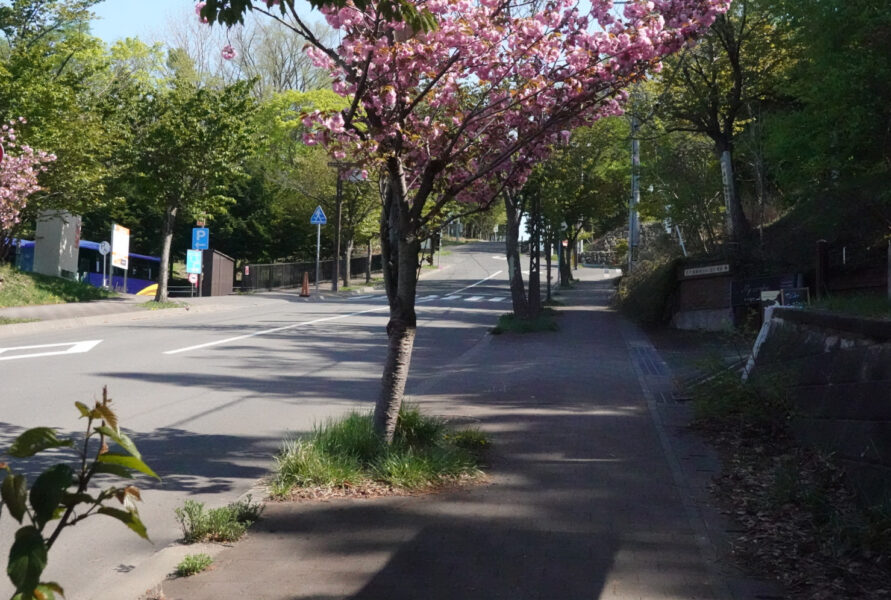 もいわ山ロープウェイ麓駅前の坂道