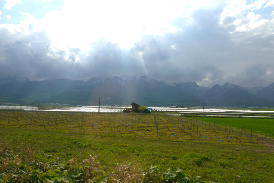 滝川行き普通列車の車内から芦別岳を眺望