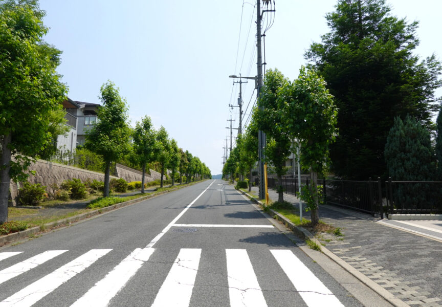 みどり中央駅前の道路