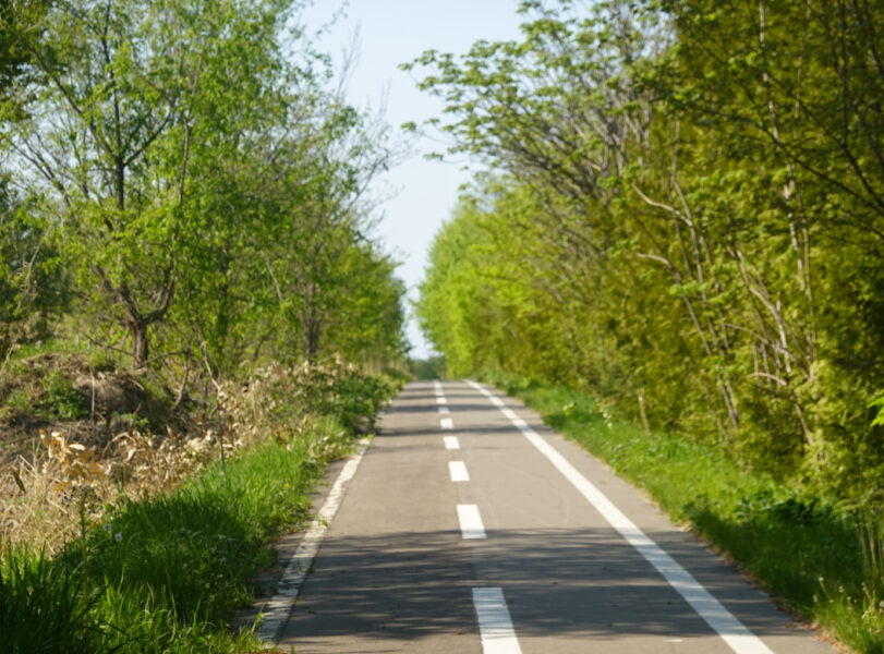 地味に坂道なサイクリングロード（二見ケ岡駅手前）