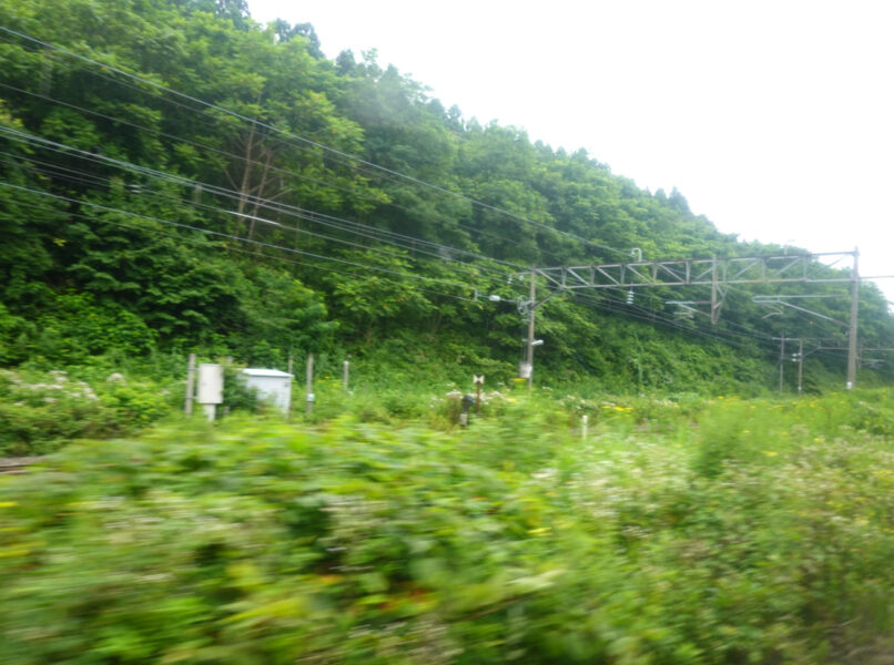 野辺地駅出発後に大湊線は東北本線と分岐