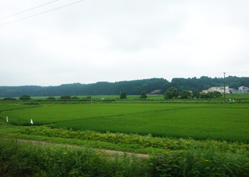 青い森鉄道沿線はのどかな田園風景が広がる