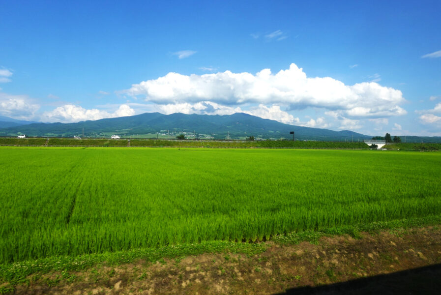 ＳＬばんえつ物語号の車窓・会津地方の田んぼ