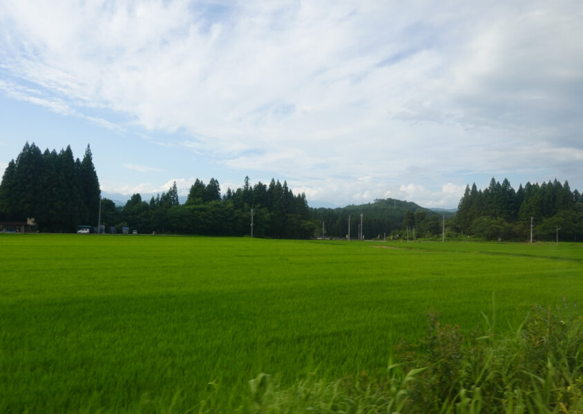 ＳＬばんえつ物語号の車窓・田んぼ（福島県）