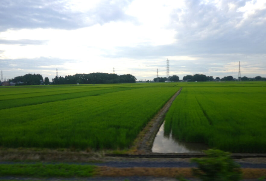 新潟県の平野部を走行するＳＬばんえつ物語