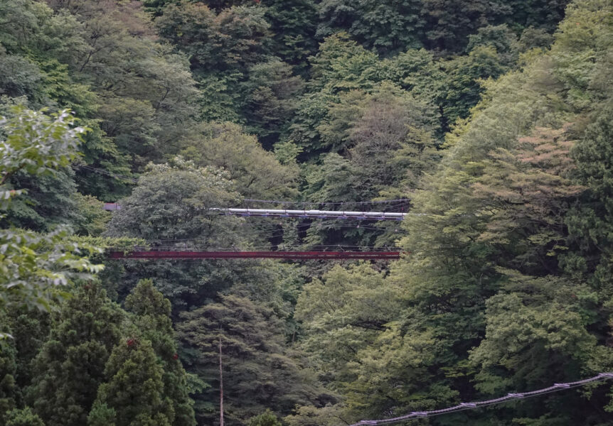 黒部峡谷鉄道の車窓・猿専用のつり橋