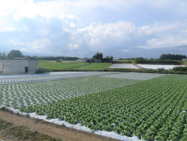 野辺山の田畑（信濃川上⇒野辺山）