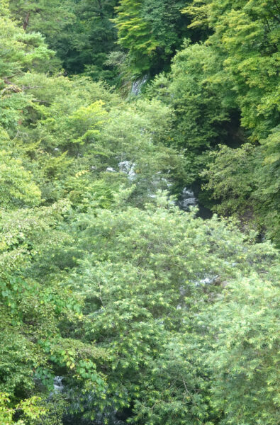 HIGHRAIL１号から見える吐竜の滝①