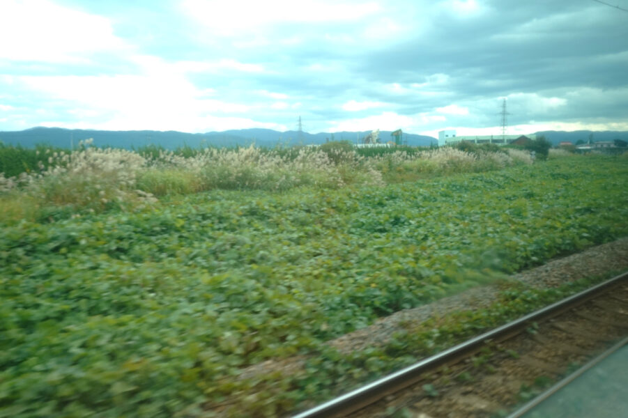 余目駅・陸羽西線（特急いなほ１号）