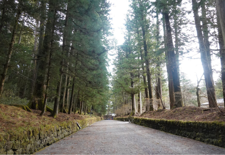 二荒山神社・参道（日光東照宮方面）