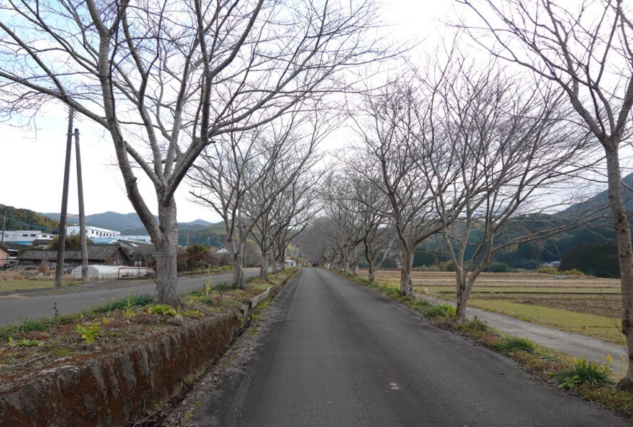 宮之城線跡（薩摩永野駅付近）