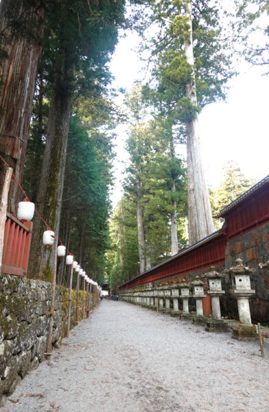 二荒山神社・参道