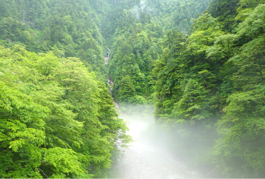 黒部峡谷鉄道・車窓（欅平）