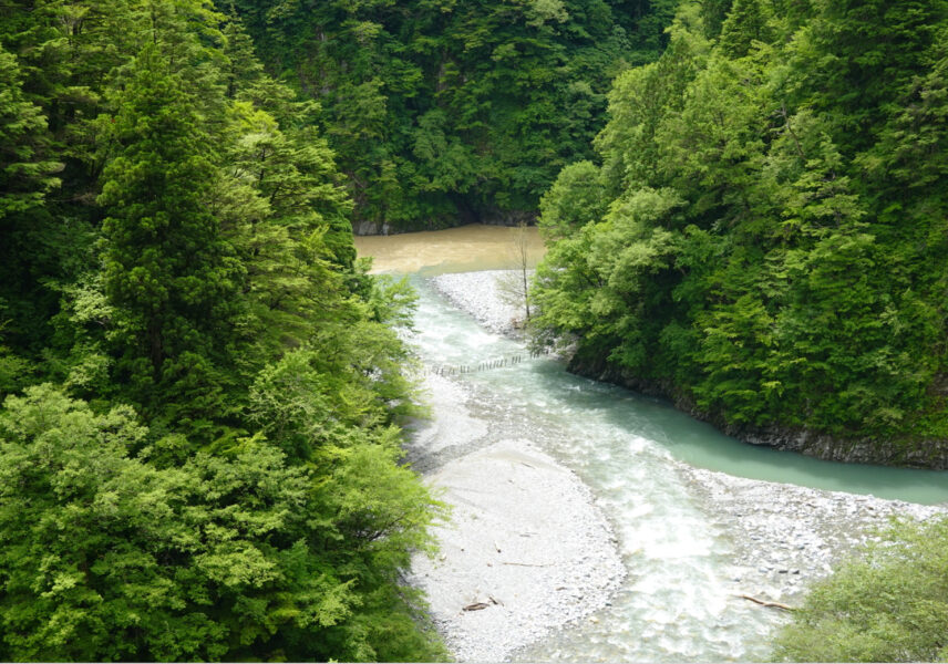 黒薙橋・黒部川（黒部峡谷鉄道）