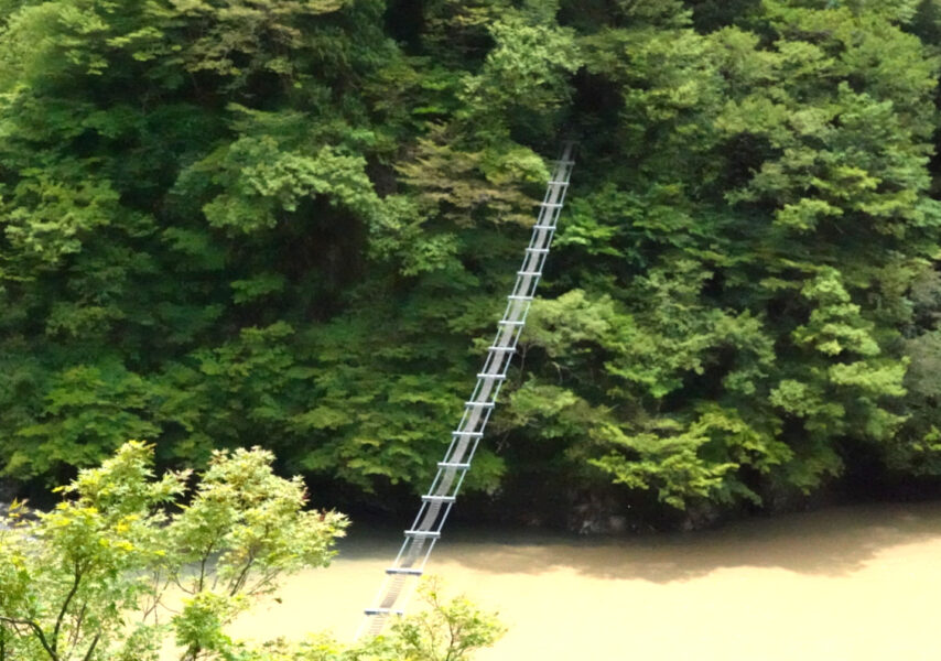 猿専用の吊橋（黒部峡谷鉄道・森石⇒柳橋）