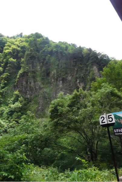 黒部峡谷鉄道・車窓（ねずみ返しの岩岸）