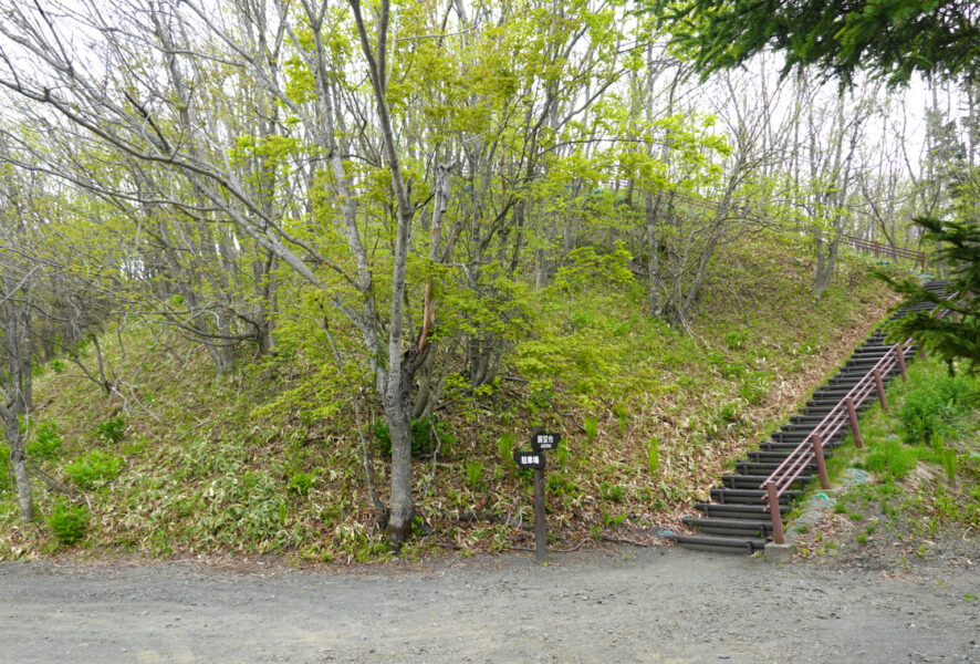 散歩（釧路湿原）・釧路湿原駅前